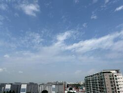 The Scala (D19), Apartment #460630201